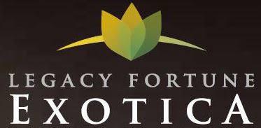 Legacy Fortune Logo